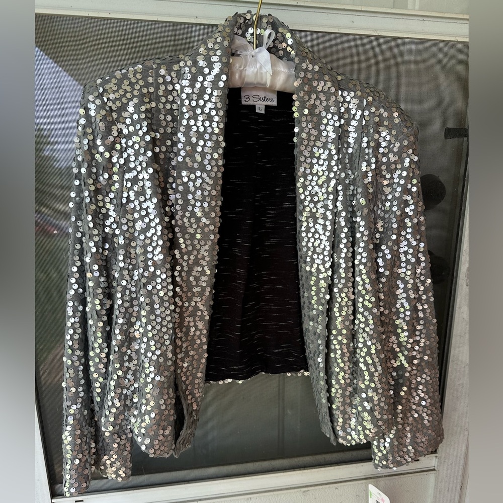 3 Sisters Silver Sequin Blazer